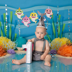 Baby Shark Cake Smash Outfit